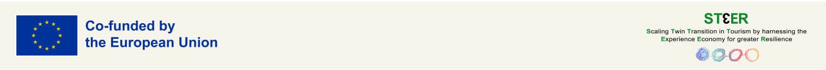 “This Project has indirectly received funding from the European Union’s COSME - SMP programme, via an Open Call issued and executed under project ST3ER.