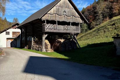 traditional architecture of the Slovenian countryside, kozolec toplar